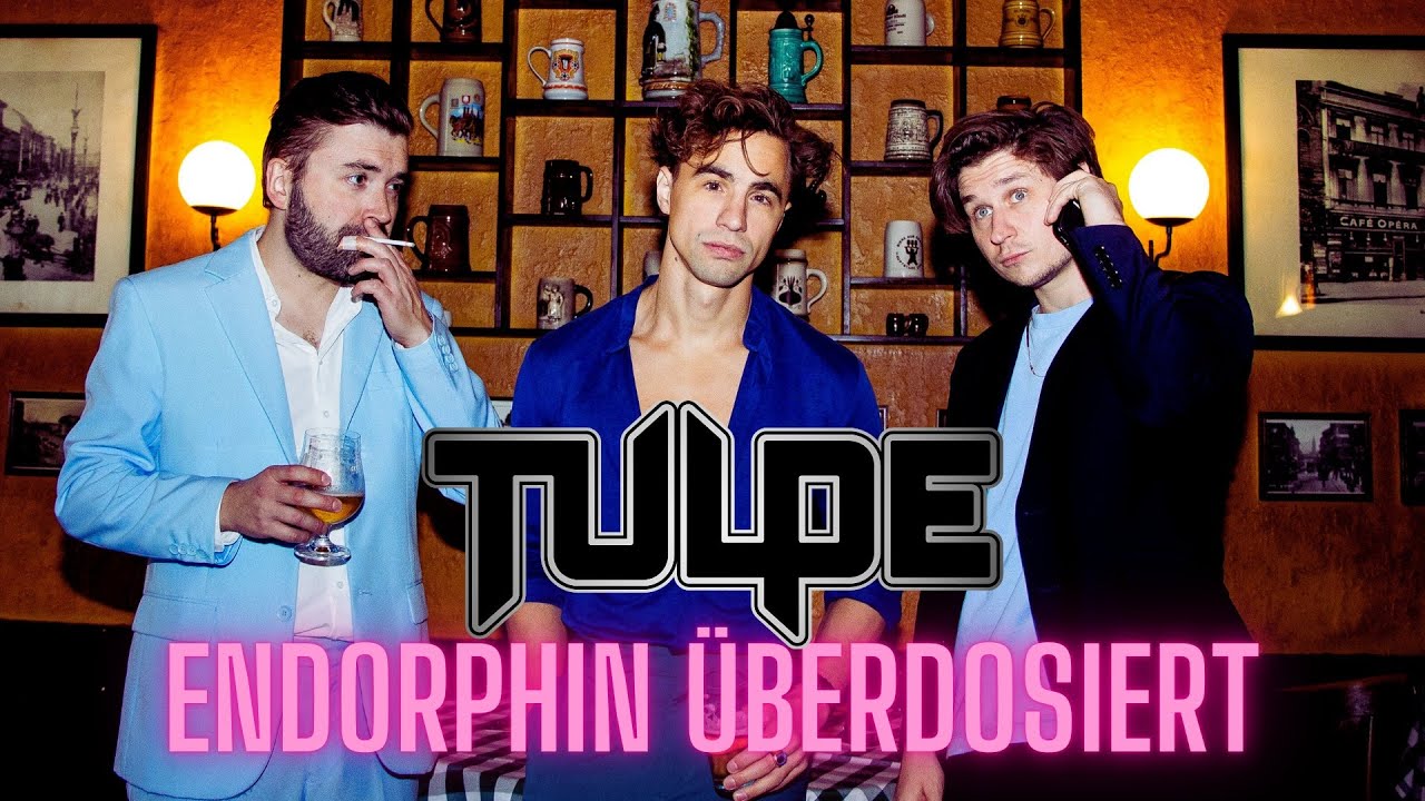 Tulpe